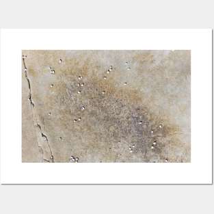 Grunge rocky surface Posters and Art